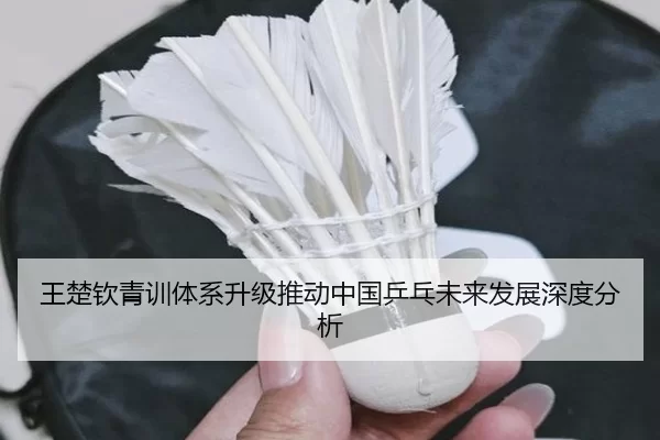 王楚钦青训体系升级推动中国乒乓未来发展深度分析